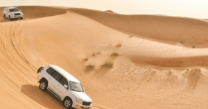 Sightseeing Tours from Dubai 10