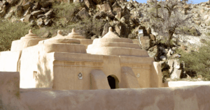 Sightseeing Tours from Dubai16