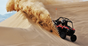 Tours from Dubai 12