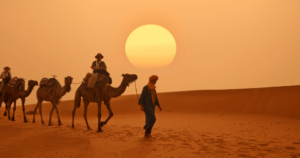 Tours from Dubai 11