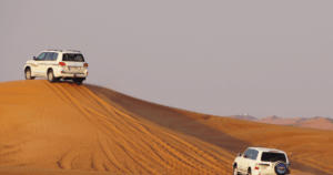 Sightseeing Tours from Dubai 6