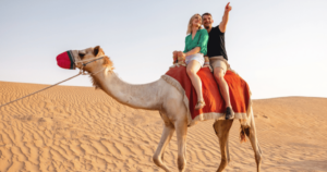 Tours from Dubai 10