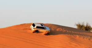 Sightseeing Tours from Dubai 4