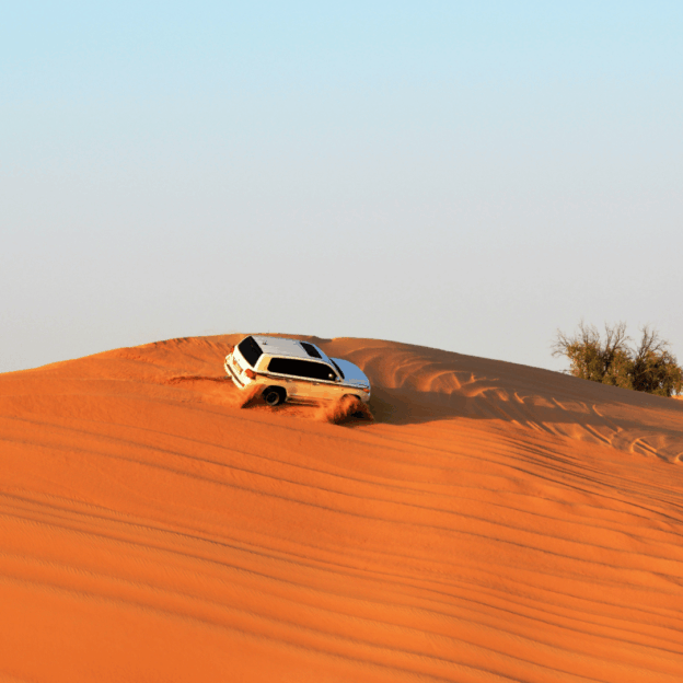 Sightseeing Tours from Dubai 4