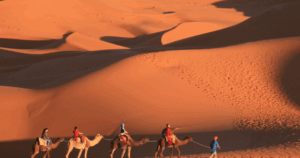 Camel Ride