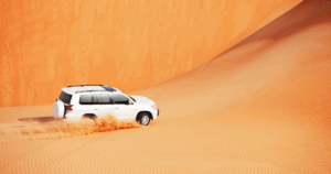 Desert Safari 4
