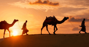 Desert Safari 5