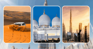 Safari + Dubai + Abu Dhabi