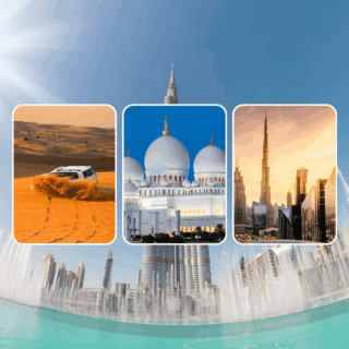 Safari + Dubai + Abu Dhabi