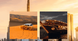 city tour, safari, cruise