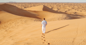 Desert Safari22